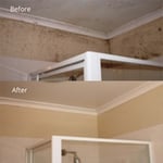 Before and after mould treatment. No re-painting done.