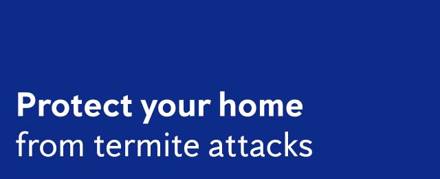 Flick Pest Control - Promotion 3