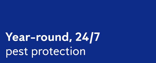 Flick Pest Control - Promotion 2