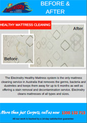 Before & After Results