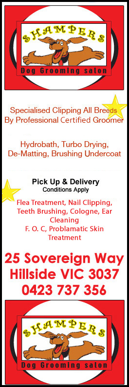 Shampers Dog Grooming Salon - Promotion