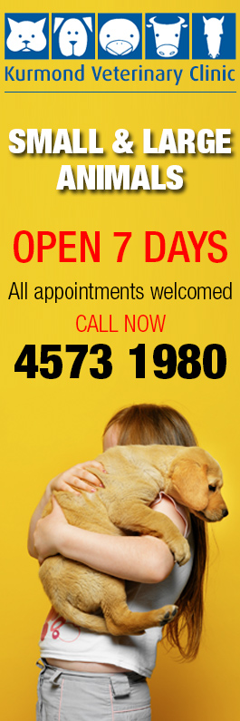 Kurmond Veterinary Clinic - Promotion