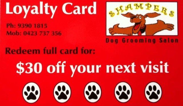 Our Loyalty Program