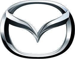 RaviMukati import - logo