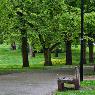 Abacus Tree Services - Pic 4