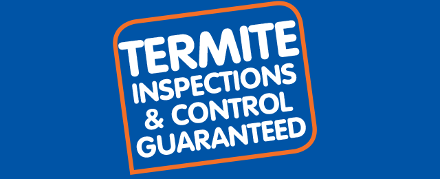 Allstate Pest Control - Promotion 2