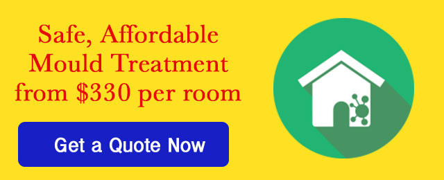 Electrodry Carpet Dry Cleaning - Promotion 1