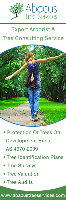 Abacus Tree Services - Promotion