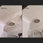 Before and after mould treatment. No re-painting done.