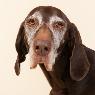 Warnbro Veterinary Hospital - Pic 6