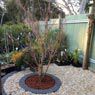 wyee landscape supplies - Pic 9
