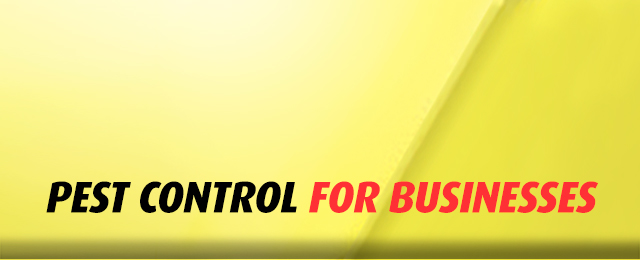 Amalgamated Pest Control - Promotion 3