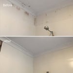 Before and after mould treatment. No re-painting done.