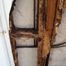 Amalgamated Pest Control - Pic 6