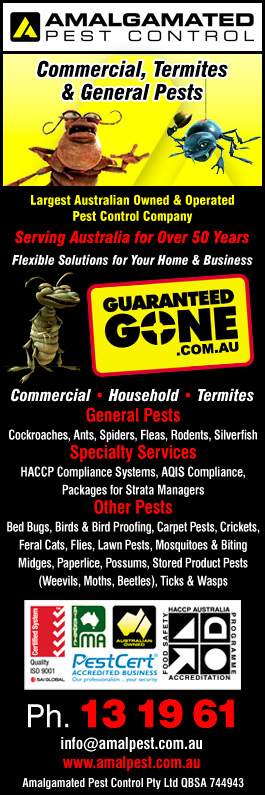 Amalgamated Pest Control - Promotion