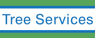 Abacus Tree Services - Promotion 2