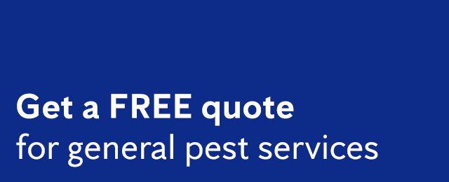 Flick Pest Control - Promotion 1