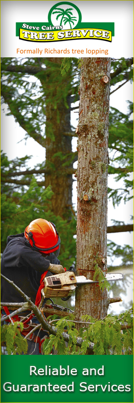Steve Cairns Tree Service - Promotion