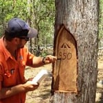 Reference Tree