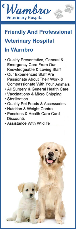 Warnbro Veterinary Hospital - Promotion