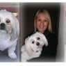 Alfredton Dog Grooming - Pic 3