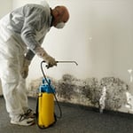 Mould Cleaning Technician on the job in protective hazmat suit.