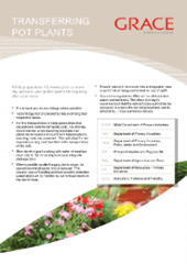 Transferring Pot Plants