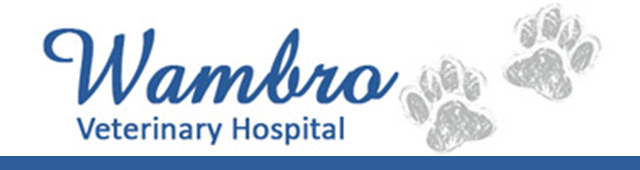 Warnbro Veterinary Hospital - logo