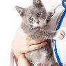 Warnbro Veterinary Hospital - Pic 9
