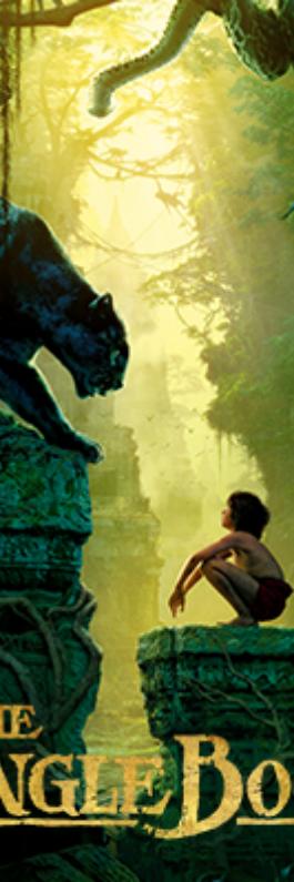 Pandya Brothers - Promotion