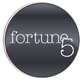 Fortune 5 - logo