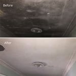Before and after mould treatment. No re-painting done.