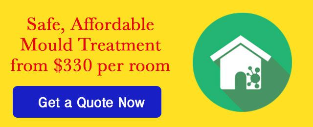 Electrodry Mould Cleaning - Promotion 1