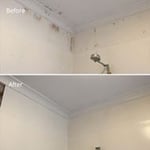 Before and after mould treatment. No re-painting done.
