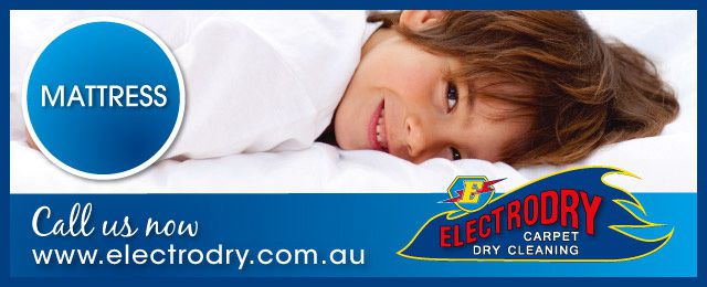 Electrodry Carpet Dry Cleaning - Promotion 2