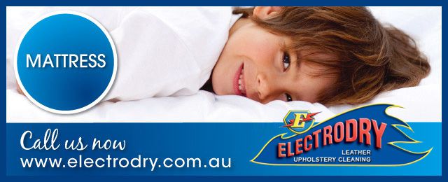 Electrodry Leather Upholstery Cleaning - Promotion 2