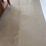 Half-cleaned tiled floors.