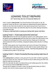 Leaking Toilet Repairs